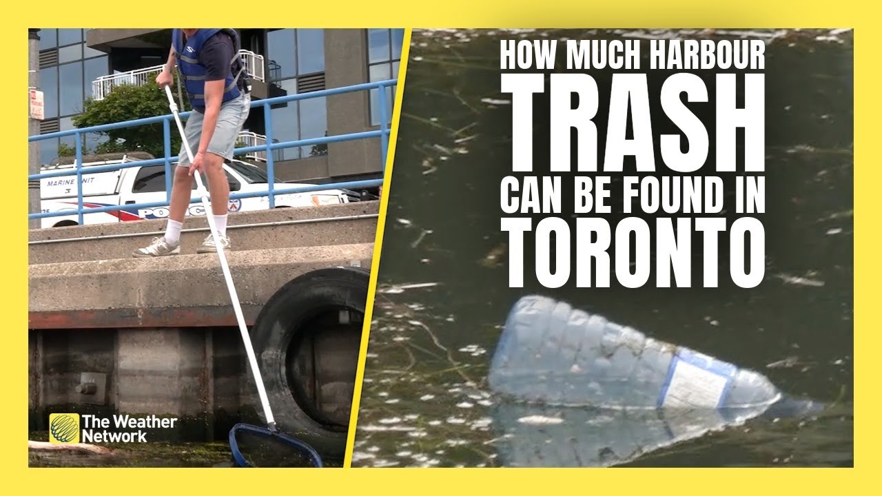Toronto Trash Team Finds No Reduction in Harbour Litter Year-Over-Year