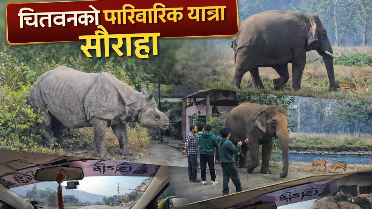 Chitwan Family Tour | Sauraha Visit | Elephant & Rhino Close Encounter 🐘🦏 | Family Vlog| Tharu Dance