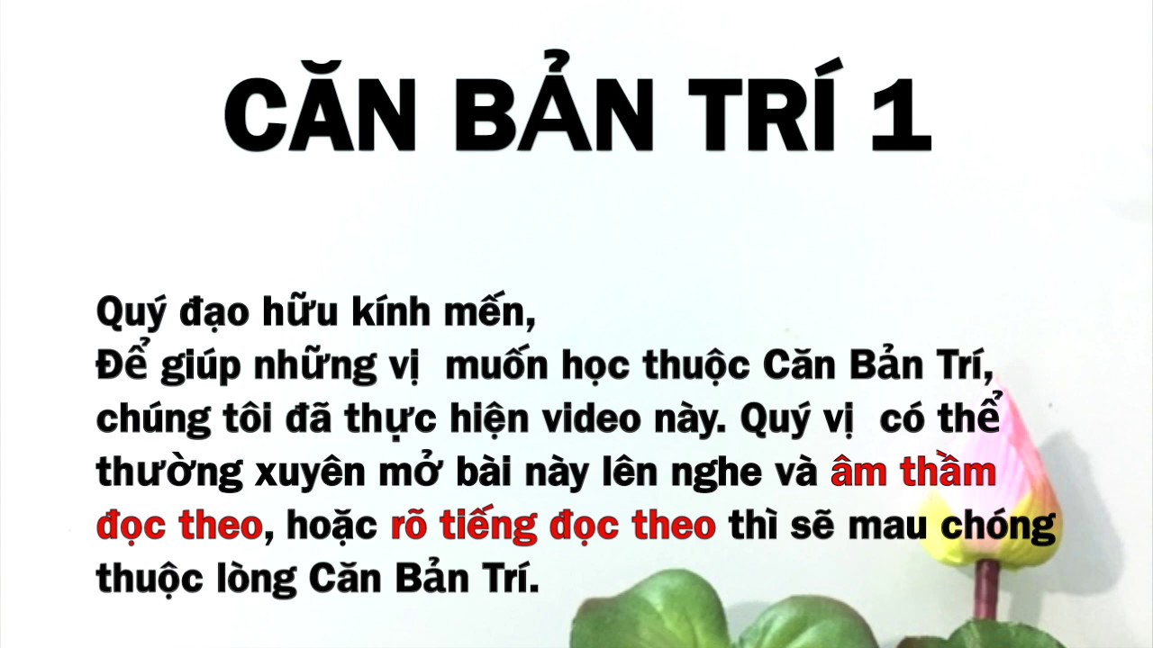 CĂN BẢN TRÍ 1 - Chơn Tín Toàn