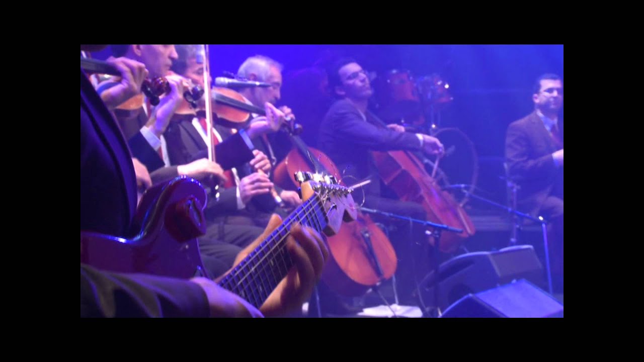 samia sabri botanique3