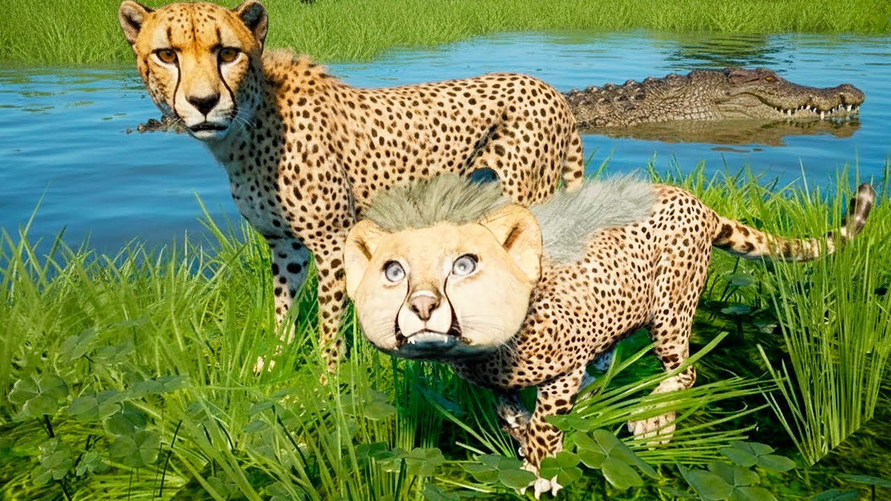 Guepardo - Filhote Chita Abandonado na Savana, O Crocodilo sentiu meu Cheiro - Animalia Survival 🦁