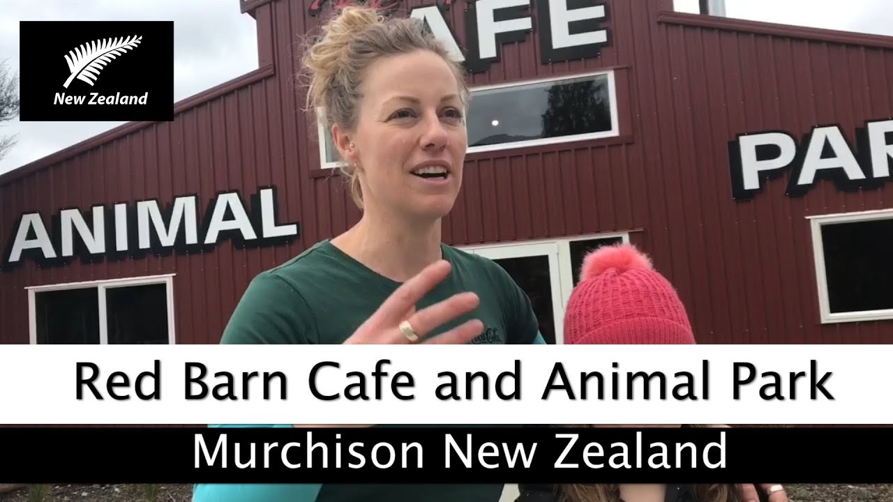 Red Barn Cafe and Animal Park Video | Murchison New Zealand