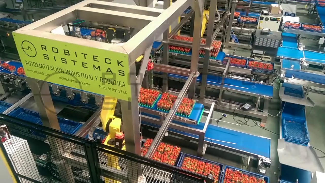 PLANTA DE PROCESO ROBOTIZADA ROBITECK