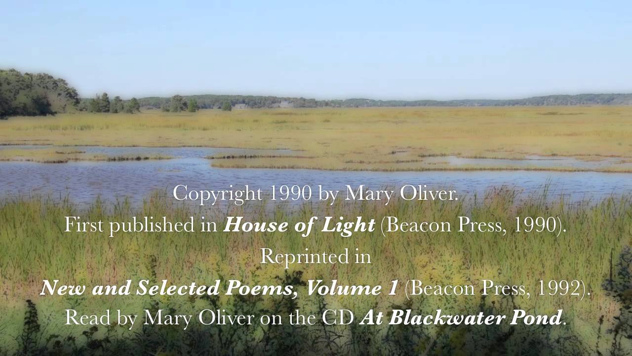 Mary Oliver reads 