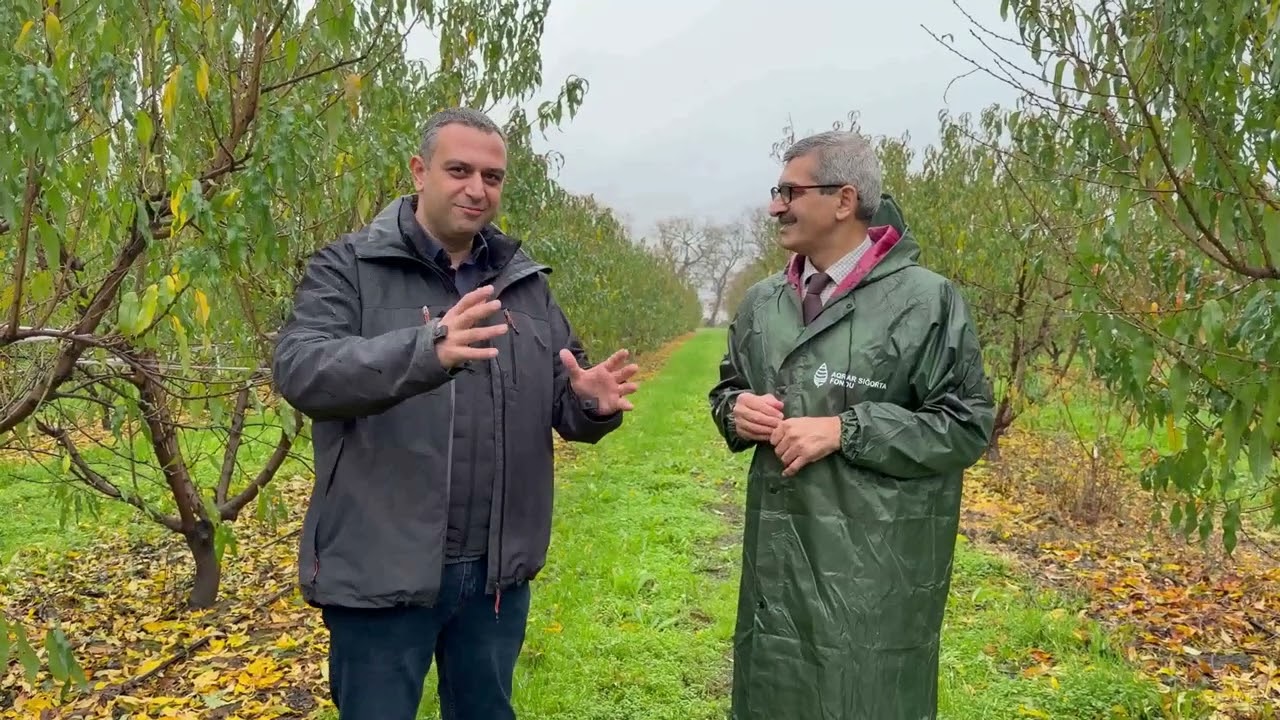 Meyvə bağını şaxtadan qorumaq üçün aqrar sığortanın əvəzi yoxdur
