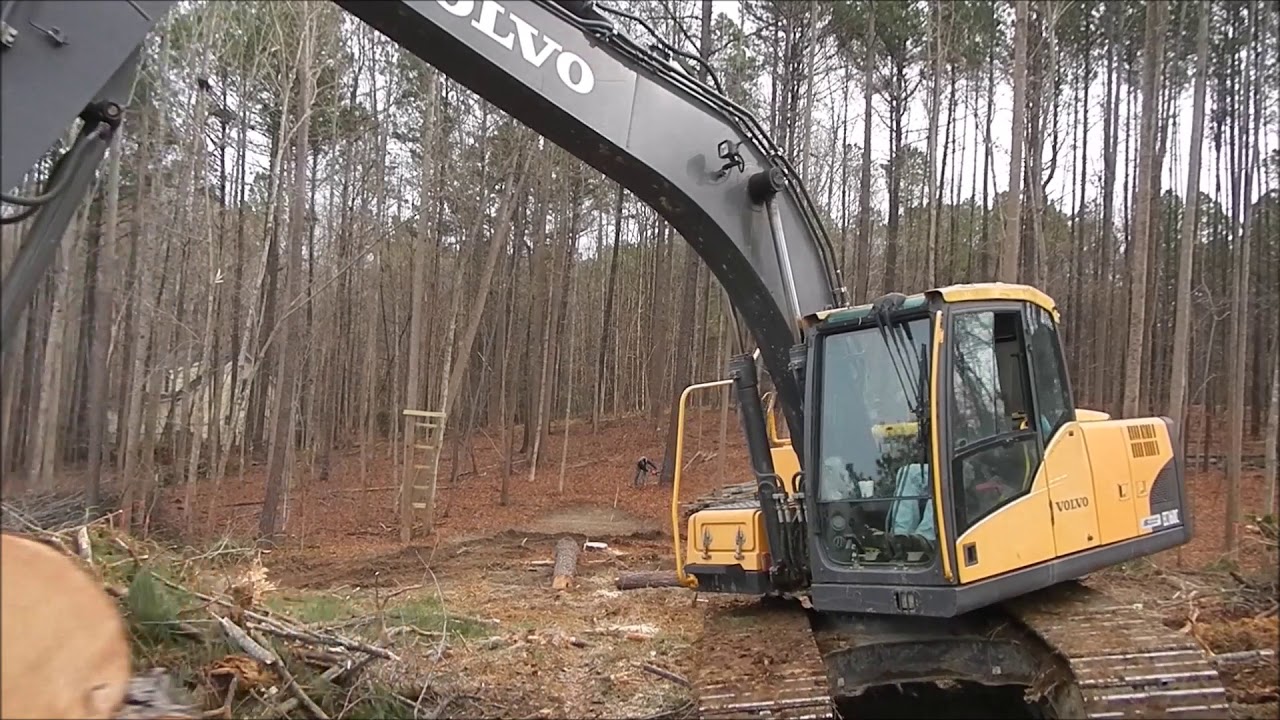 Taking Down Pine Trees