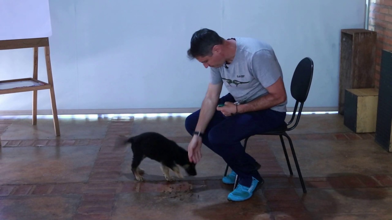 A modelagem não tem limites!