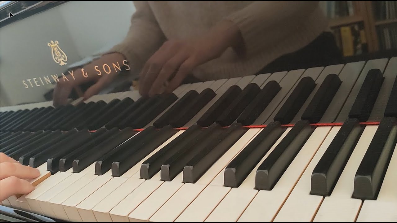 Ludwig van Beethoven Sonate G-Dur op. 14,2  / Whatever it takes