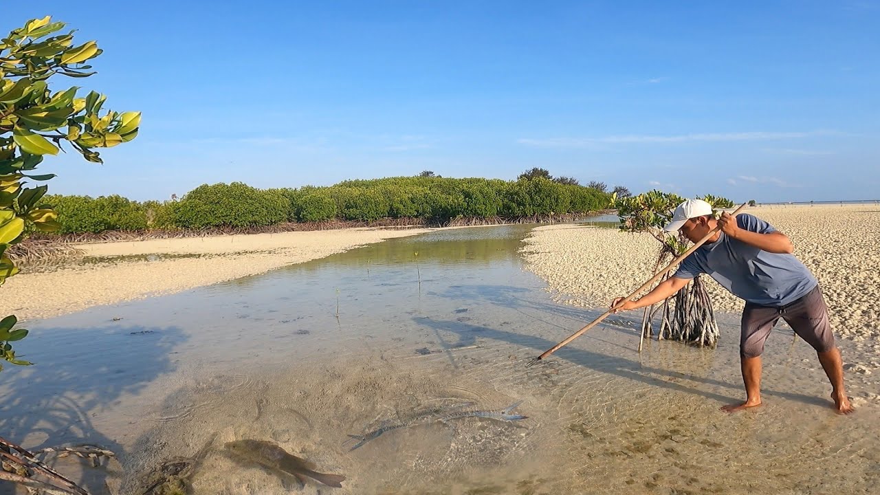 Camping Menombak ikan dan kepiting langsung masak pinggir pantai