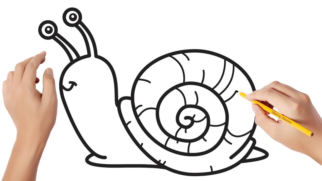 Comment dessiner un escargot