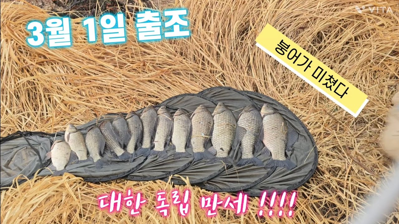 삼일절 대박 조황 대한 독립 만세!!!! #수초의달인 #아트류해용 