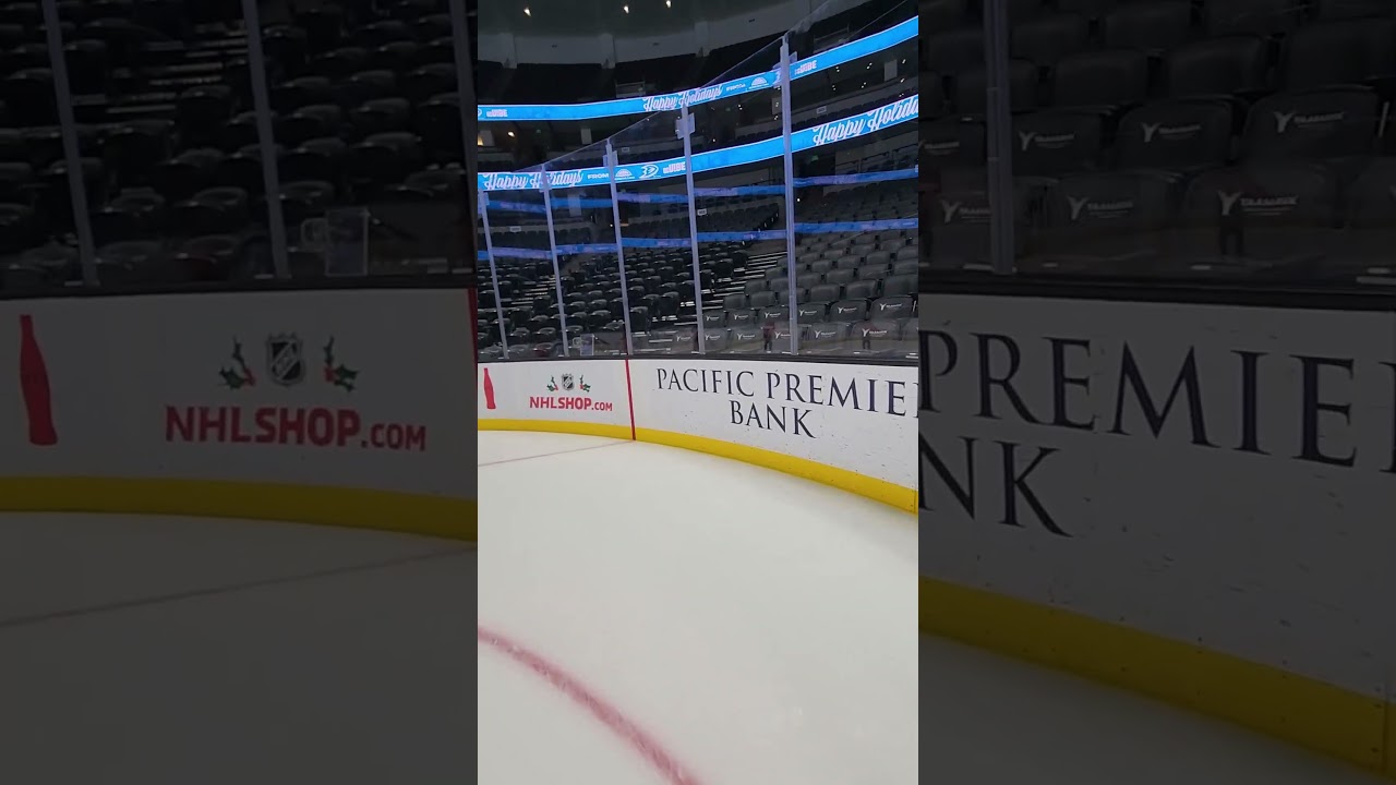 Experience Crashing into NHL Boards 😅