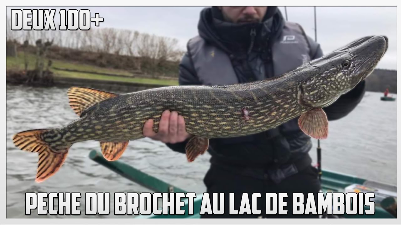 4K | PECHE DU BROCHET AU LAC DE BAMBOIS - Deux m&eacute;tr&eacute;s sur la journ&eacute;e !