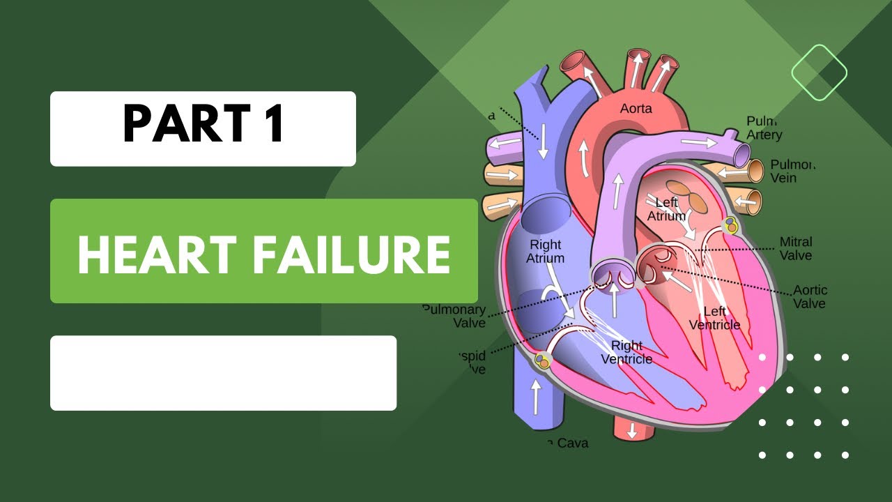 pharmacology / drugs for Heart Failure / part 1