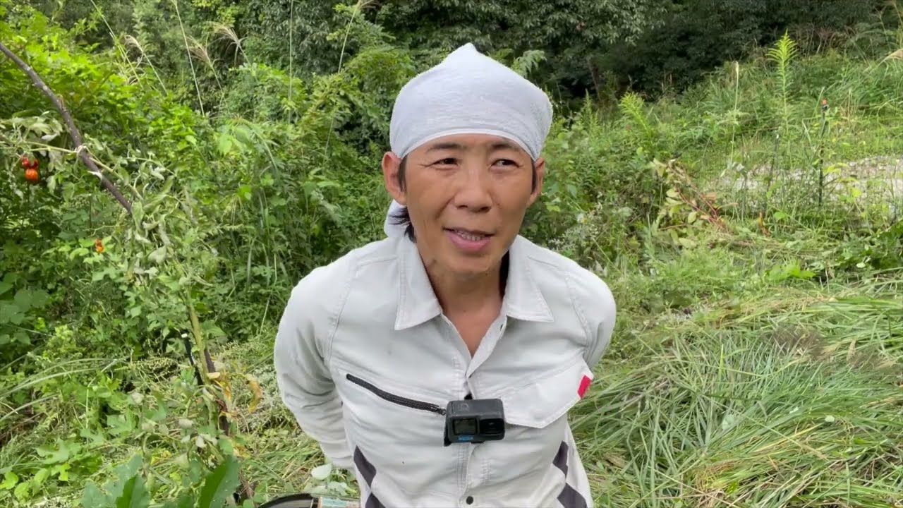 山暮らしの『畑』事情：山という広大な土地を手に入れれば、畑など作りたい放題。しかし、そう簡単にいくものではなかった。畑で作るものおすすめの一品。その他、食べ物生産事情などを紹介。