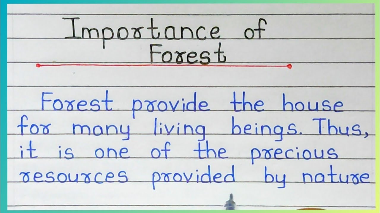 Importance of Forest Essay in English | Essay on Importance of Forest | Forest Essay in English
