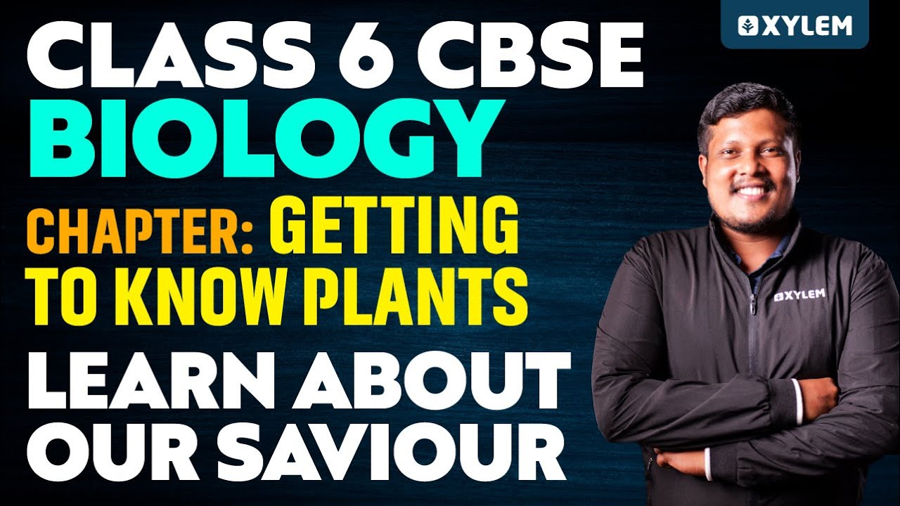 Class 6 CBSE Biology | Chapter:Getting to know plants. 