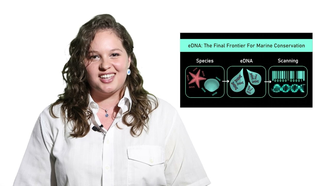 Three Minute Thesis 2024 | Dina-Leigh Simons | National Entry