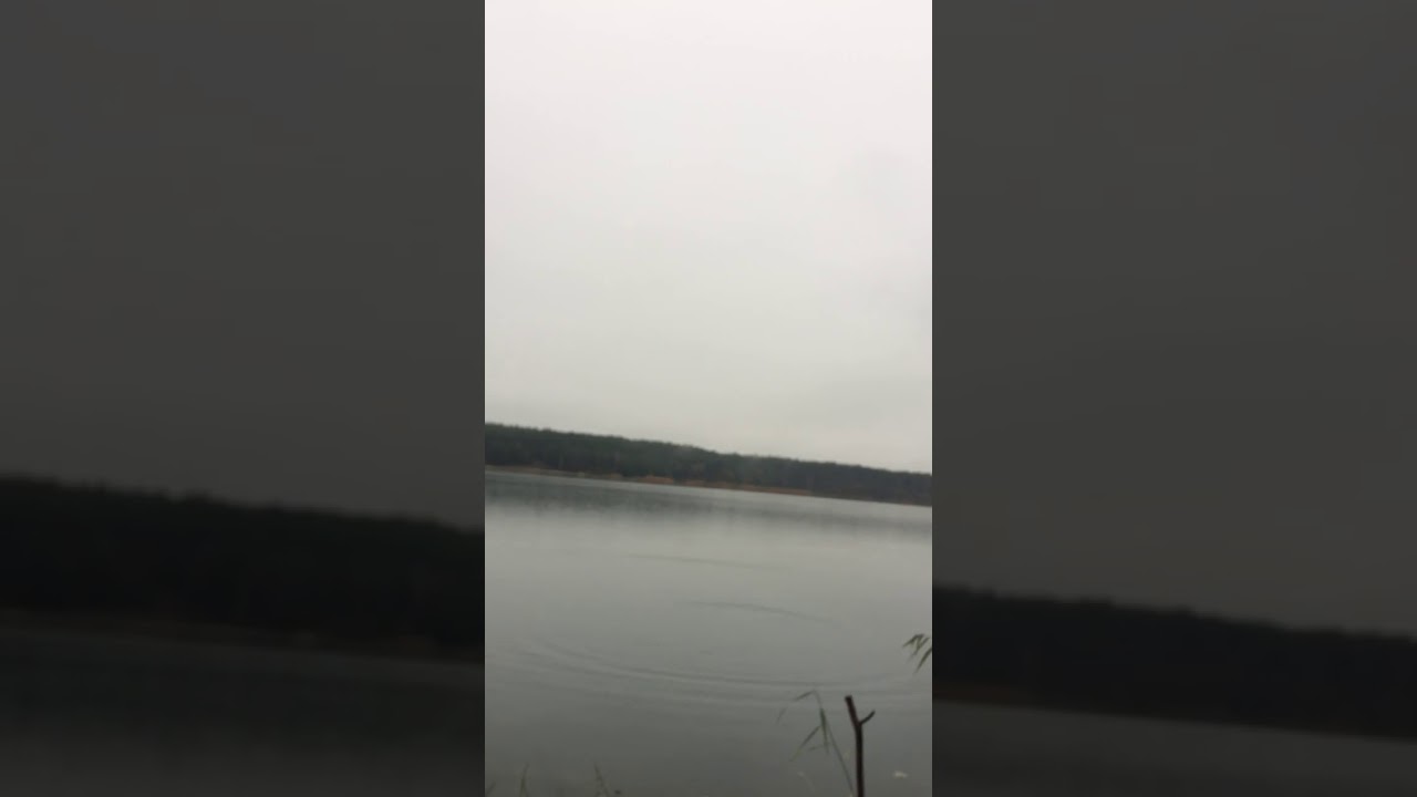 MS Lures Piguła praca