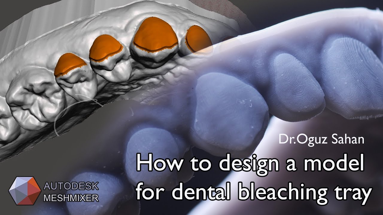 How to Design a Model for Bleaching - Autodesk Meshmixer