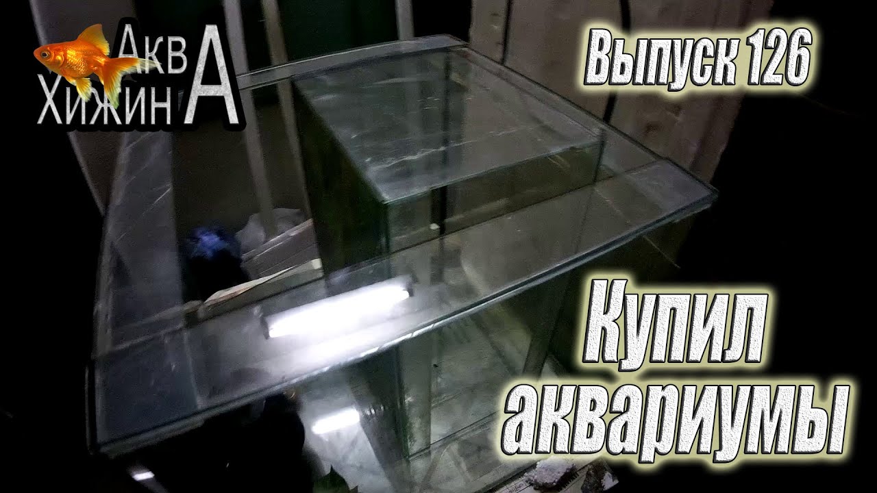 Купил аквариумы, чуть не сварил мальков скалярий (Аква Хижина, выпуск 126)