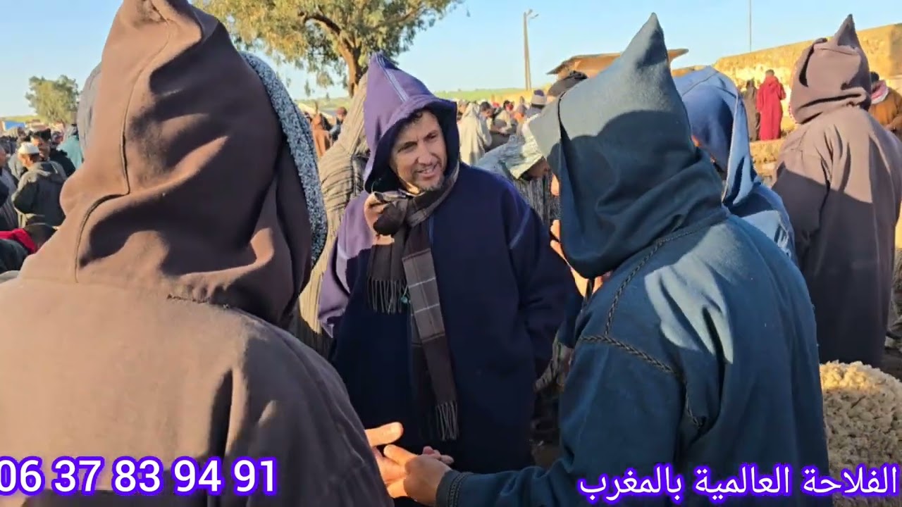 مباشر من سوق خميس سيدي حجاج ولاد مراح بتاريخ 12/3/2026