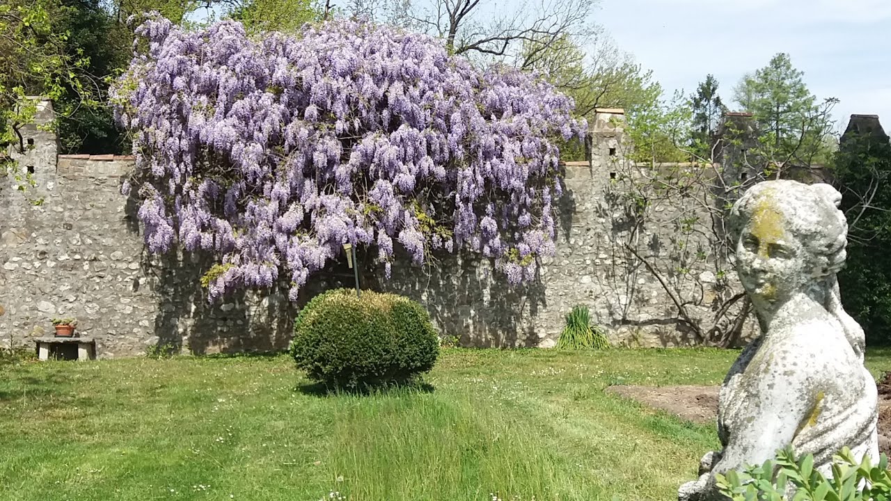 Giardino di Carlo Della Savia