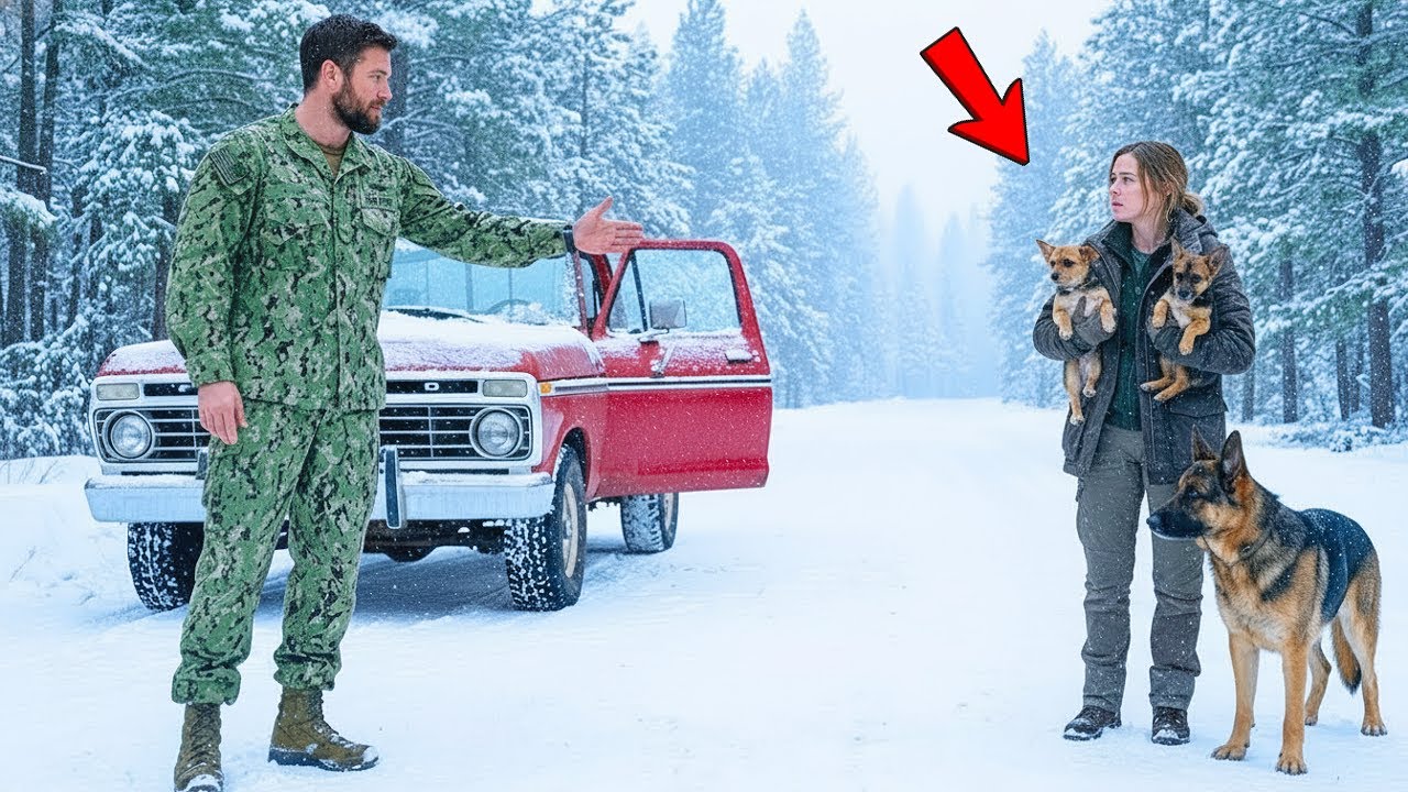 “Come With Me…” the Ex-Navy SEAL Said — After Seeing the Widow and Two Puppies in the Blizzard