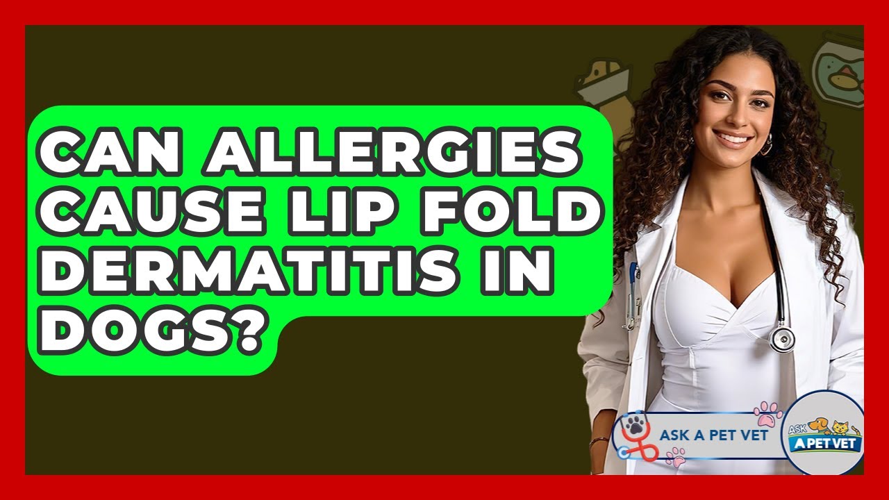 Can Allergies Cause Lip Fold Dermatitis In Dogs? - Ask A Pet Vet