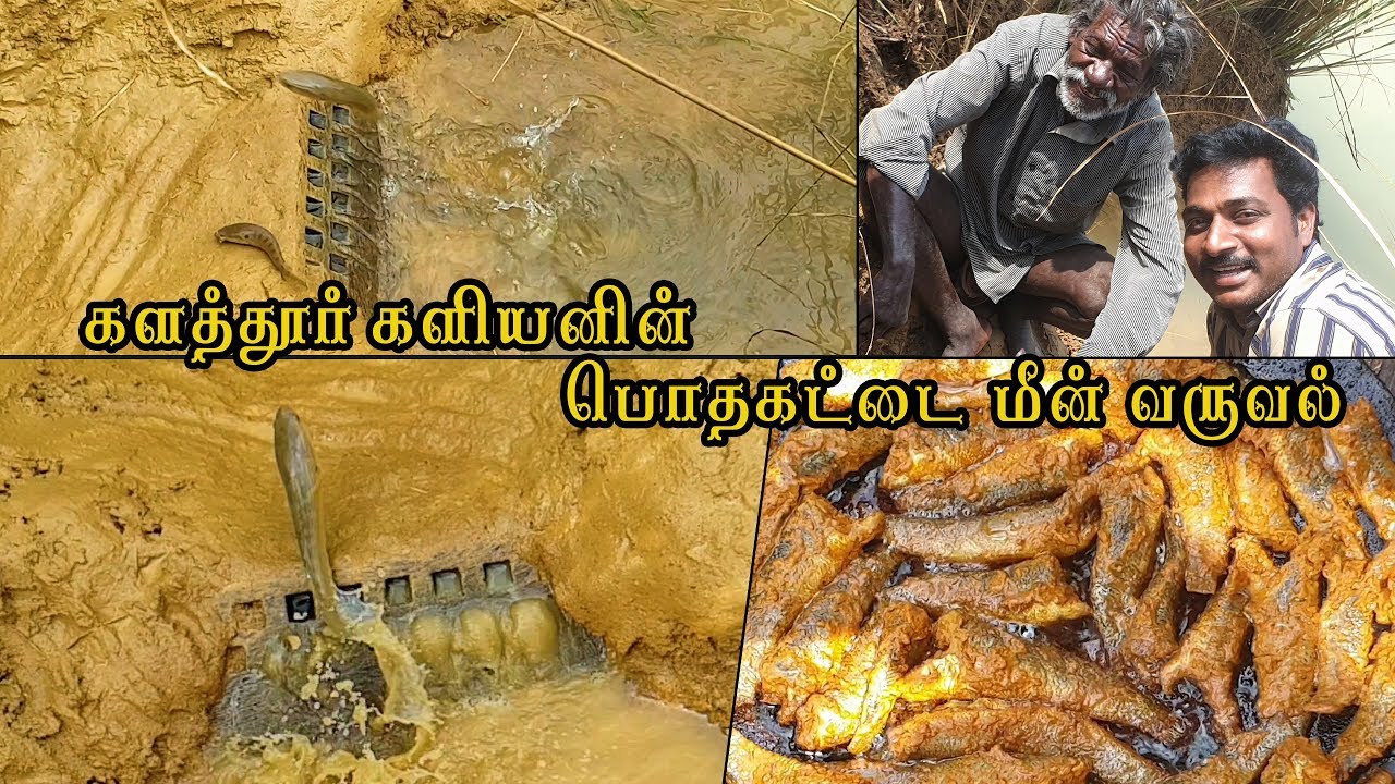 Primitive Technology - POOR VILLAGE GRANDPA CATCHING FISH IN LAKE | FISH FRY | MAMS MALA