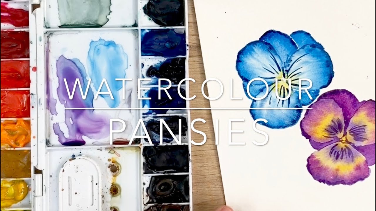 Watercolour Pansies