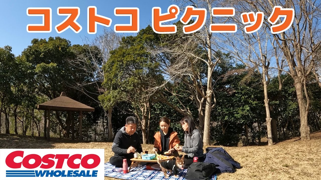 【コストコ ピクニック】Costco あのマスカルポーネロールでオリジナルサンド作ったら...