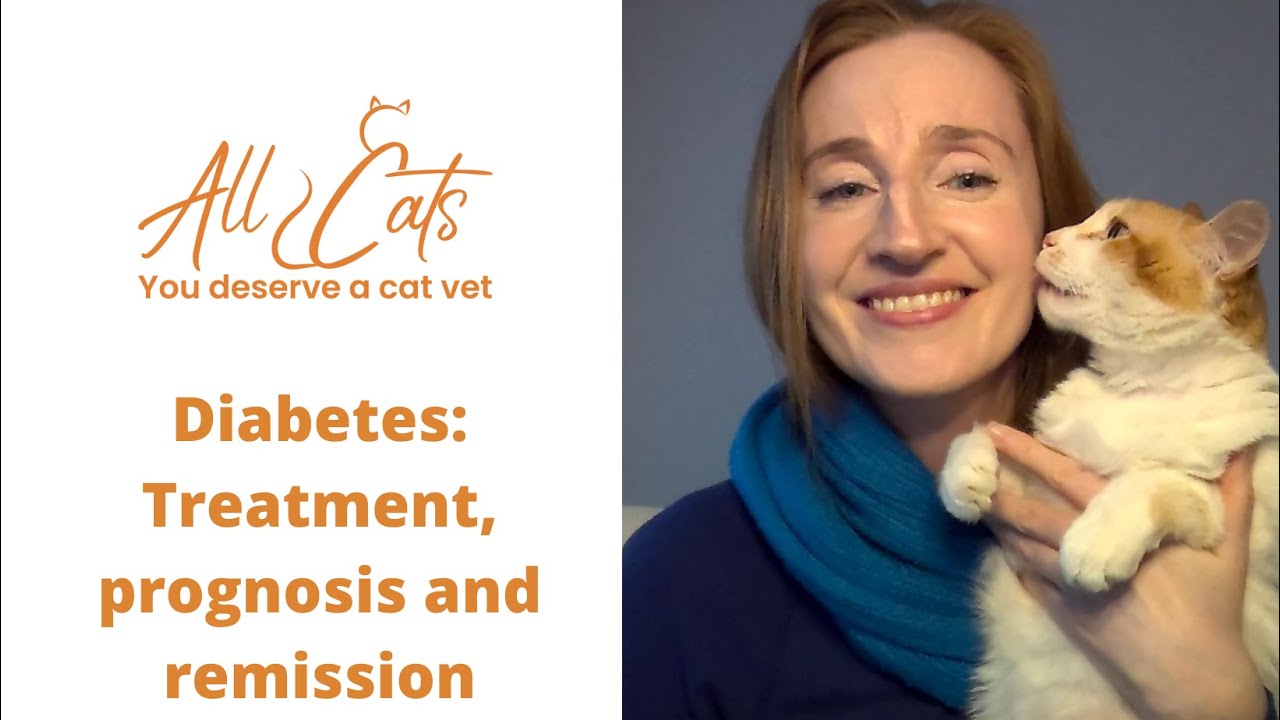 Diabetes - Treatment, prognosis and diabetic remission