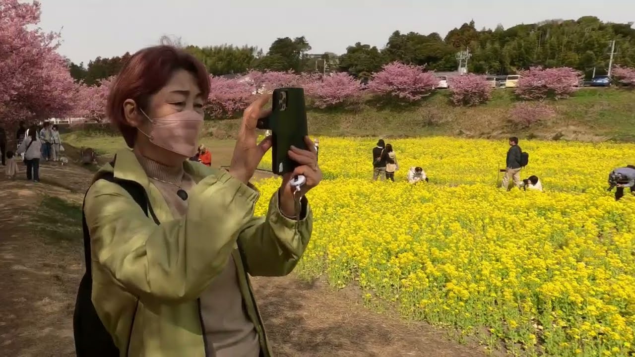 age74  小さな旅　　花川町大山桜　後撮り　前撮り　老若男女の朗らかな一日最高～
