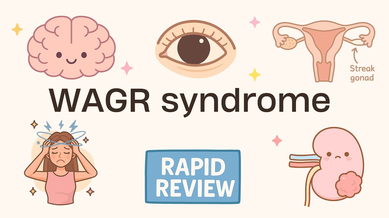Rapid Review (12/175): WAGR syndrome