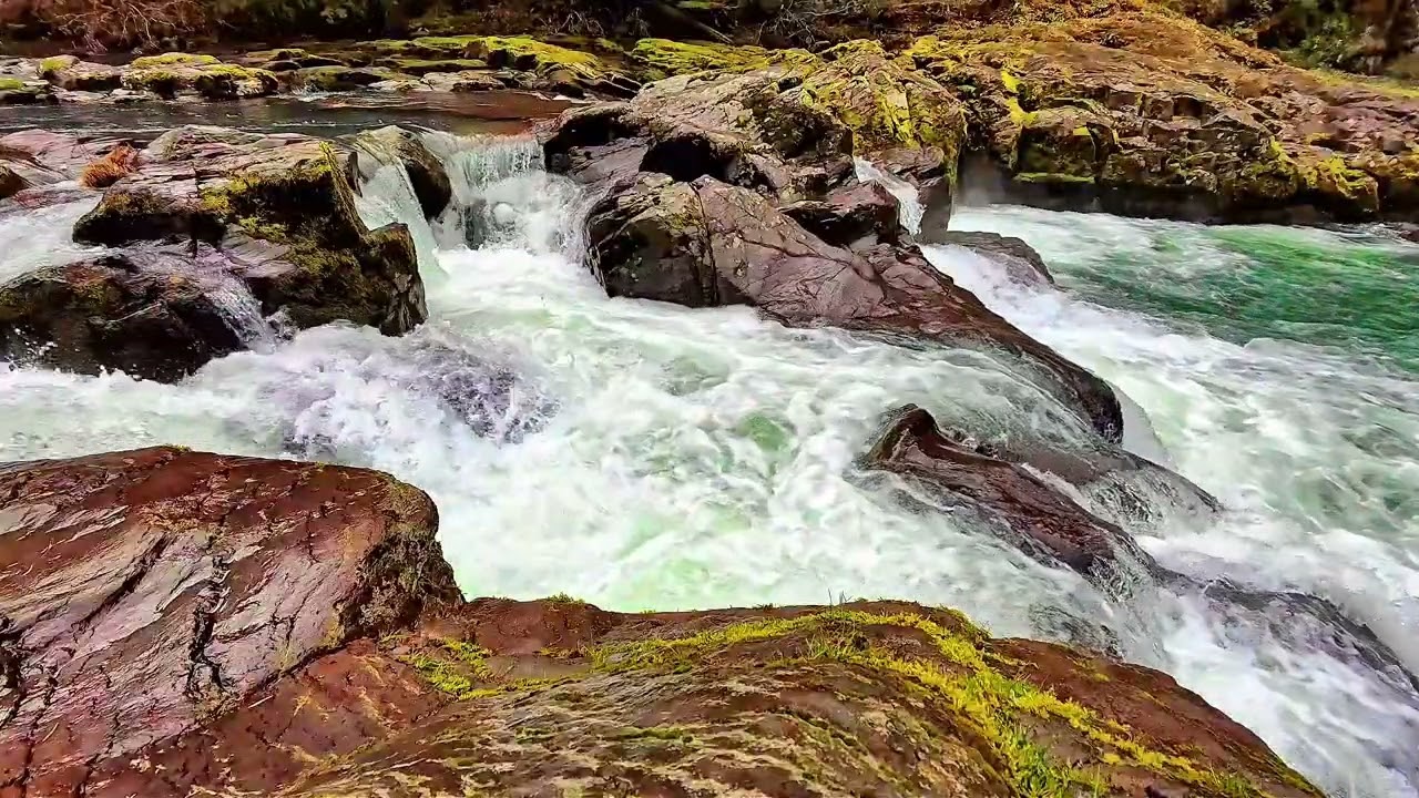 What if Listening to Waterfall Sounds Could CHANGE Your Life?🌿Vital Nature Sounds