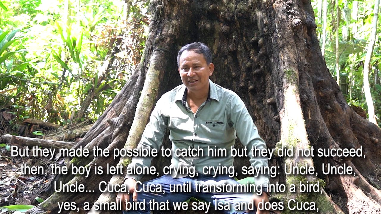 The legend behind Noya Rao, the Tree of Light.