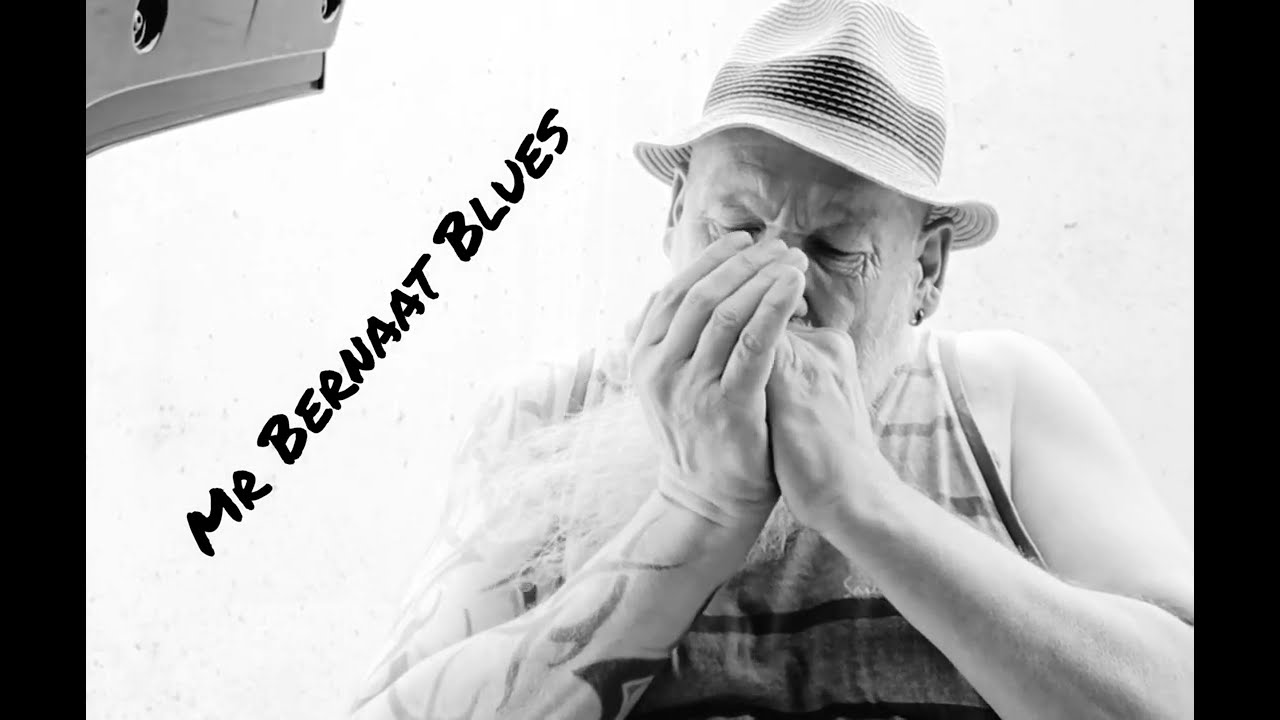 Mr Bernaat Blues / Mississippi Delta blues harmonica jam. II.