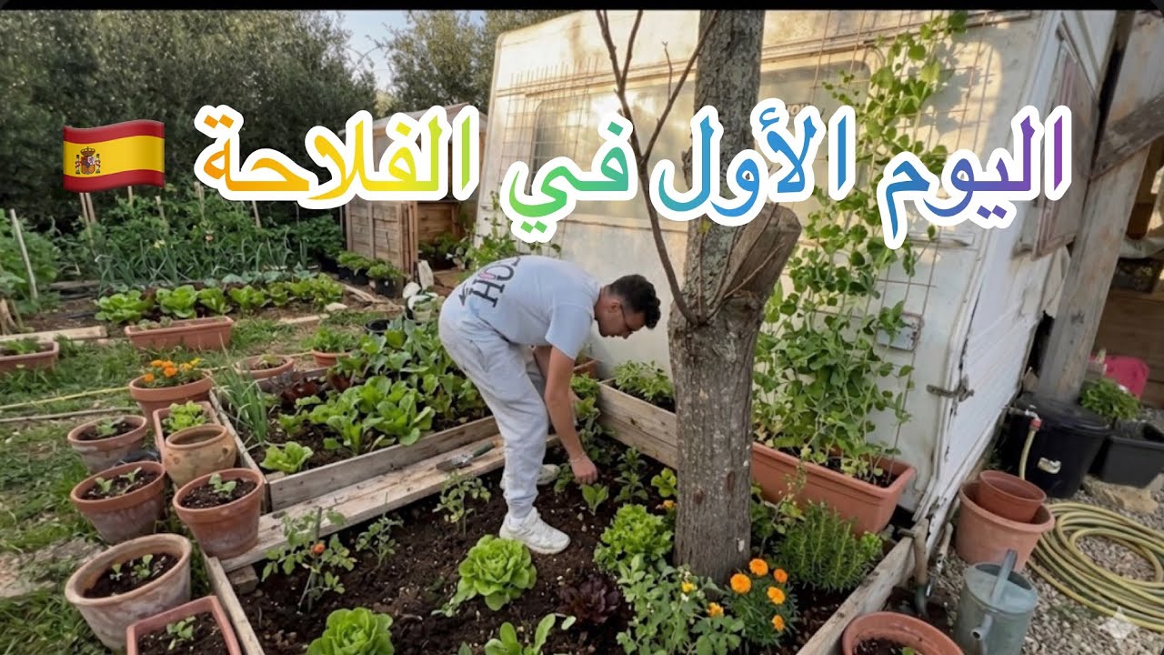 اليوم الاول في زراعة 👩‍🌾 بدأت مشروع جديد في الفلاحة 🇪🇸 