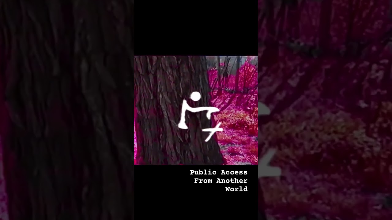 #dreamcore #foundfootage #vhs #vintage #vibes #art #aesthetic #analog #jazz #nostalgia #dream #short