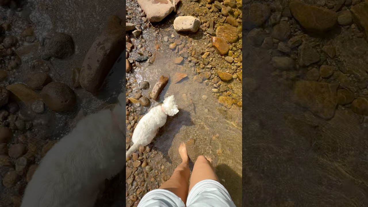 Płynąca rzeka, bose stopy, wierny pies i cisza, kt&oacute;rej dziś tak brakuje. 🌿