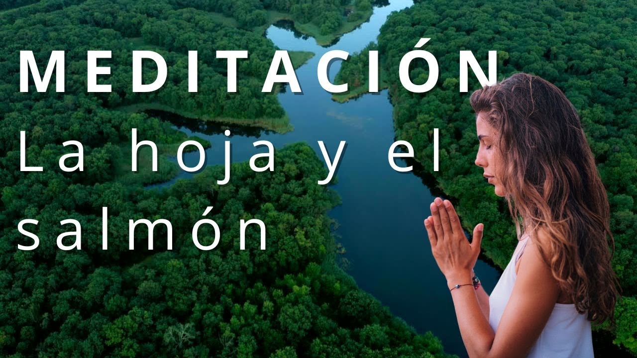 La hoja y el salm&oacute;n, Meditaci&oacute;n