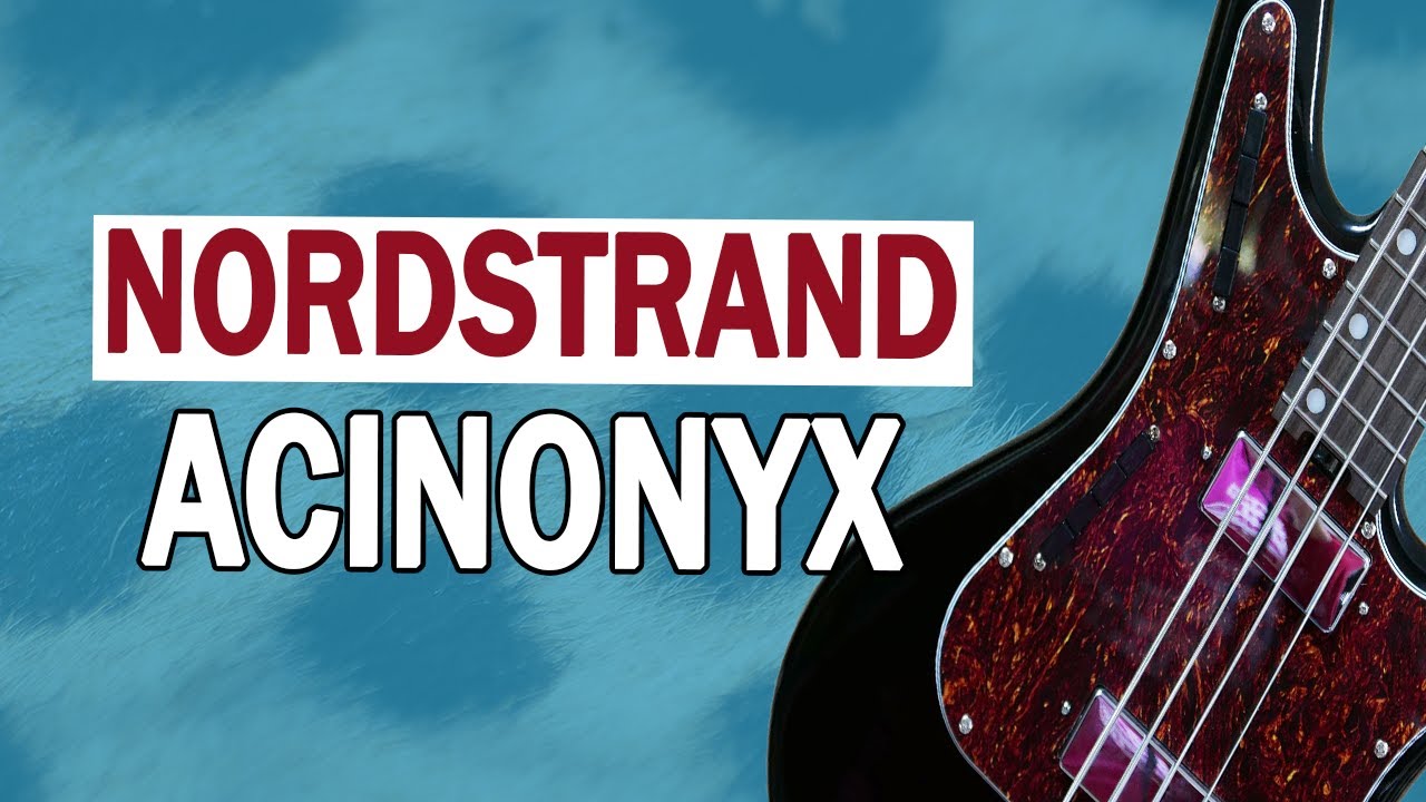 The Cat's Out of The Bag || Nordstrand Acinonyx Bass Review
