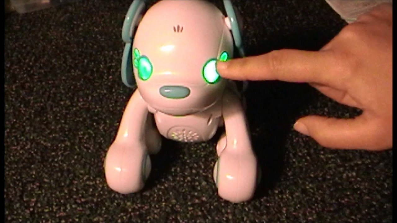 Nintendo DS Wappy Dog Video Game & Toy Review
