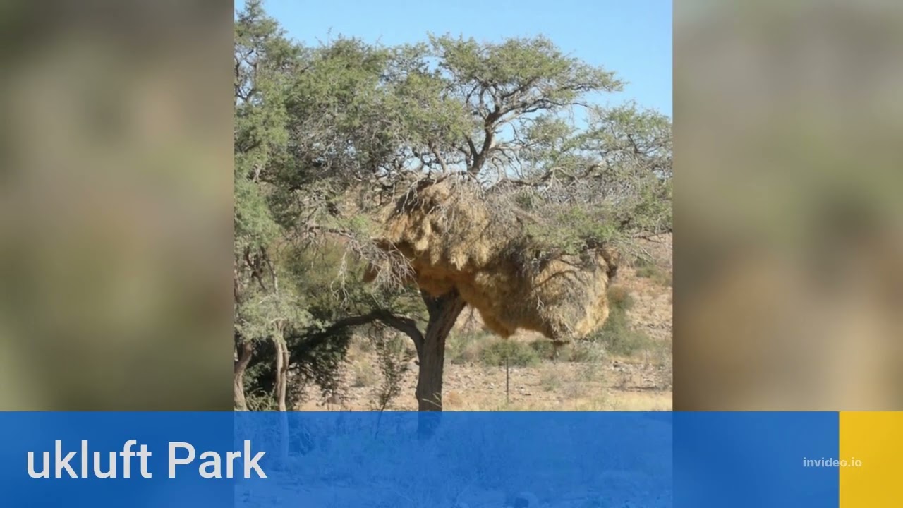 10 Best Places to Visit in Namibia