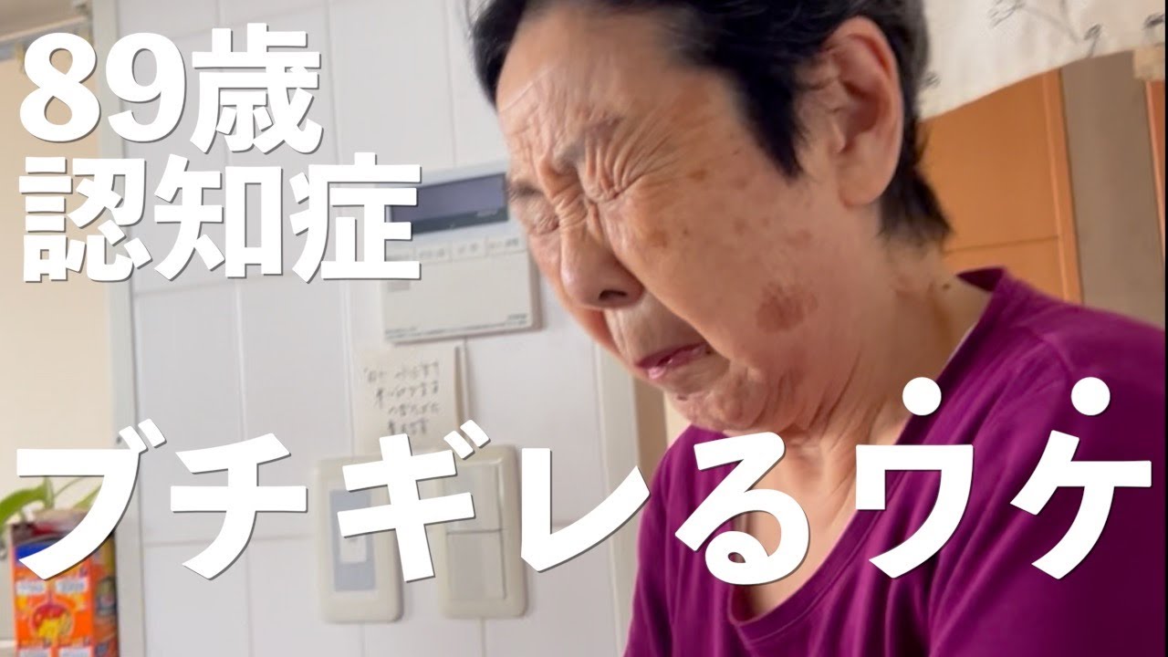 関係各位方々申し訳ありません、どうしても無理なことが起きました【89歳認知症ばあばと35歳こどおじ孫二人暮らし】【ミトログ】【ラグドール】【ハゴロモセキセイインコ】【亀】【蜥蜴】