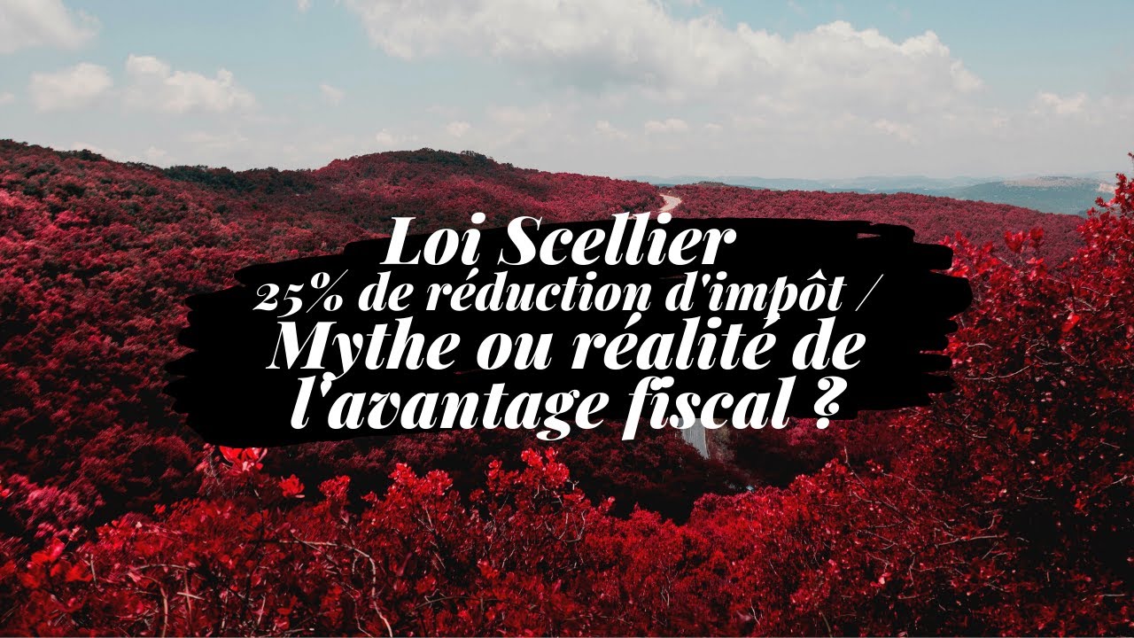 LOI SCELLIER   AVANTAGE FISCAL MYTHE OU REALITE?