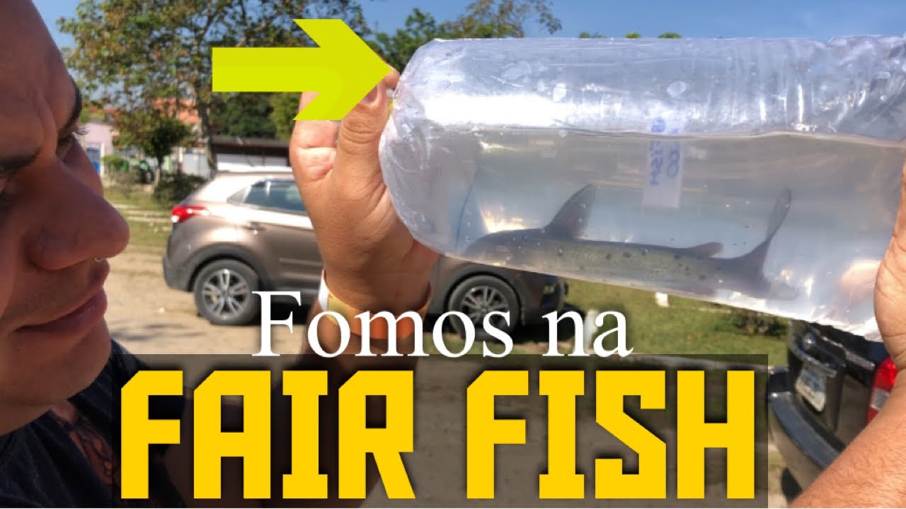 FOMOS NA FAIR FISH FEIRA DE AQUARISMO - COMPREI UM PEIXE