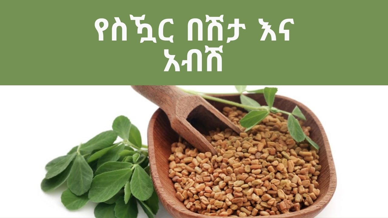 የስዃር በሽታ እና አብሽ!!! DM and Fenugreek!!!