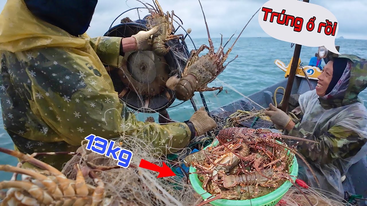 Vác lưới trúng đậm tôm mốc khủng, ngư dân thu về hàng chục triệu đồng - nghề lưới tôm hùm